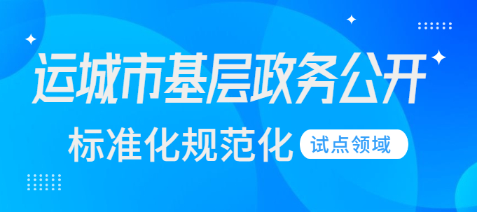 試點領域